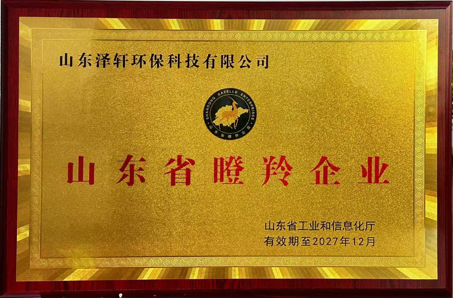 澤軒環(huán)保榮膺省級瞪羚企業(yè)，開啟高速發(fā)展新征程